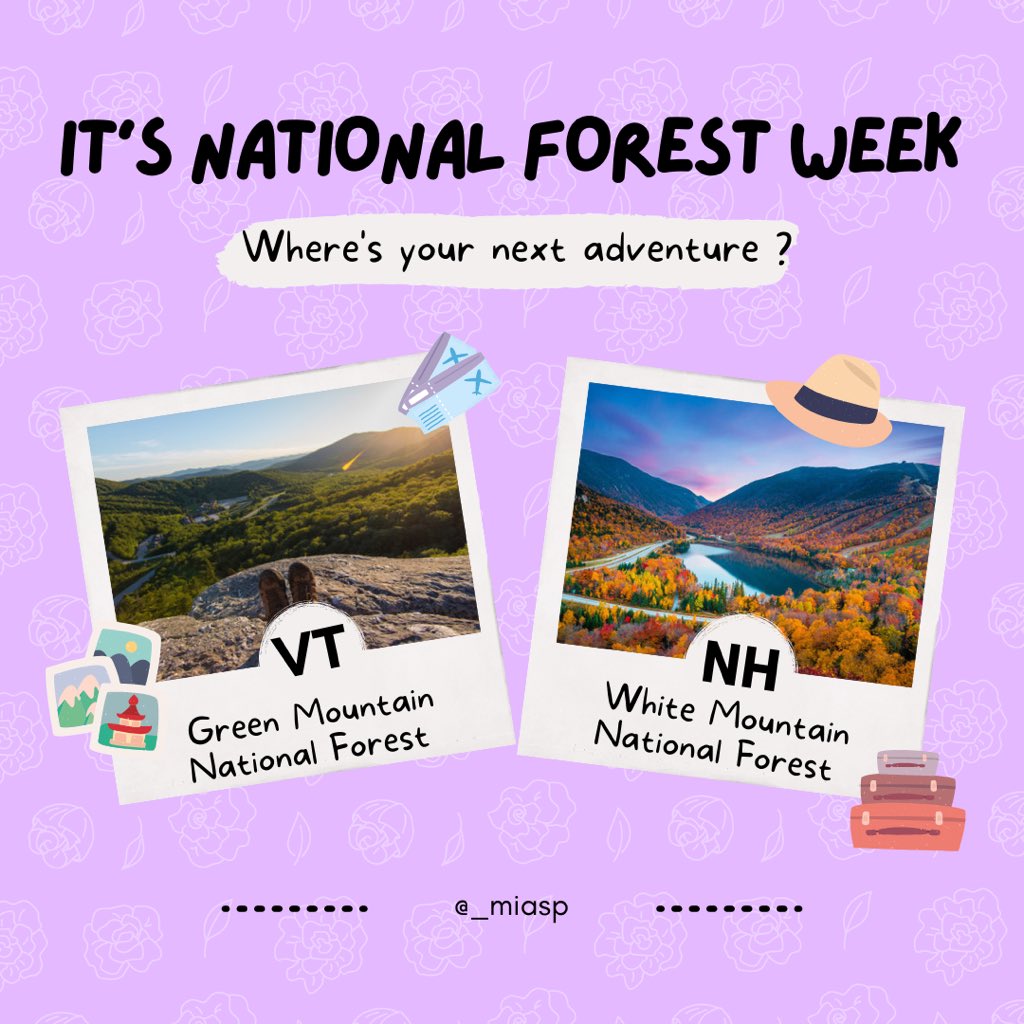 MIASP_'s tweet photo. Did you know it’s national forest week? Getting outside is a great way to reduce stress and reconnect with yourself. Check out the national forests we have right here in New England! https://t.co/CkWCJDYi3y
#miasp #NationalForestWeek #MentalHealthMatters https://t.co/odnAFNDJJB