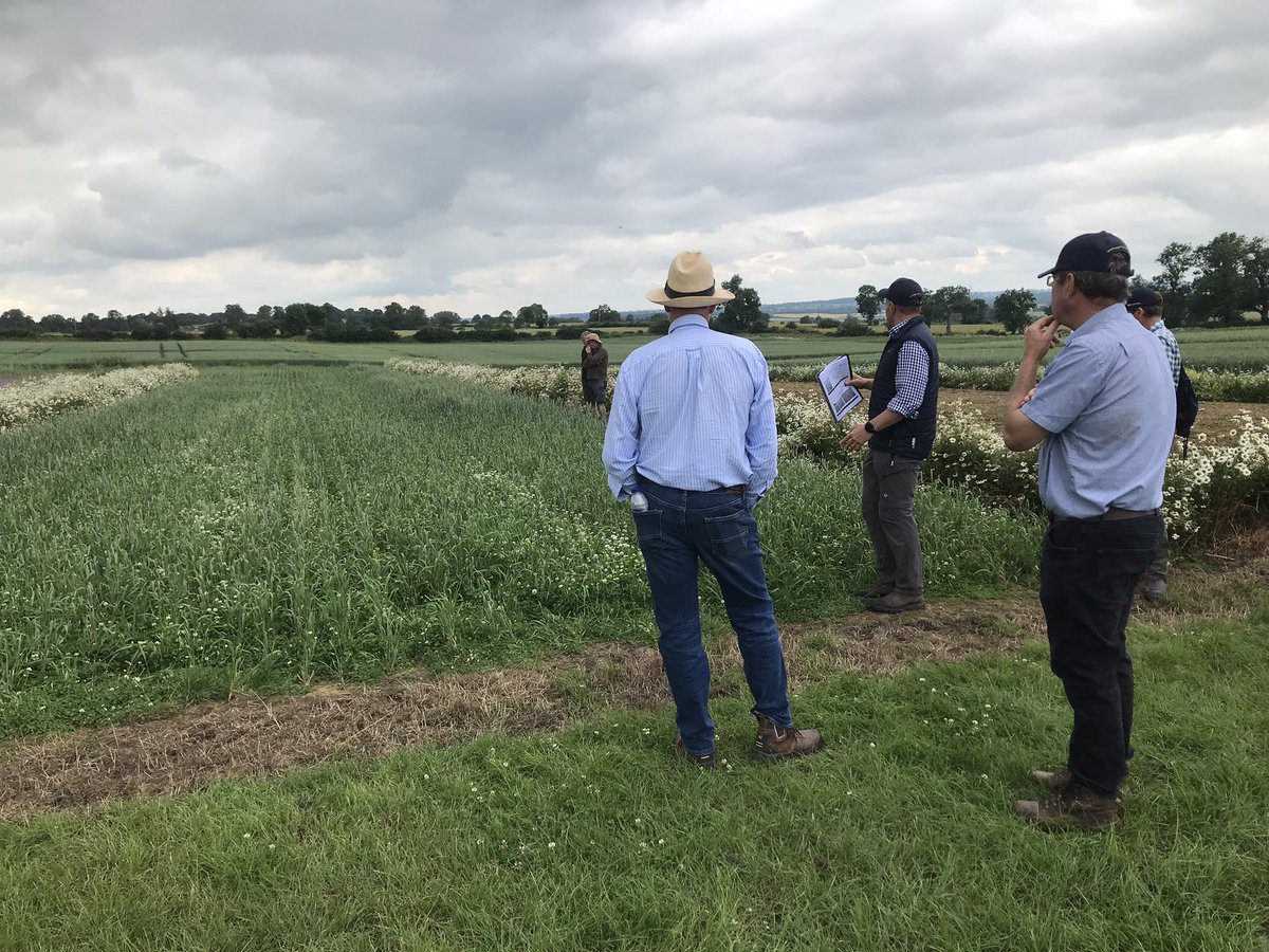 Headys farm tweet media
