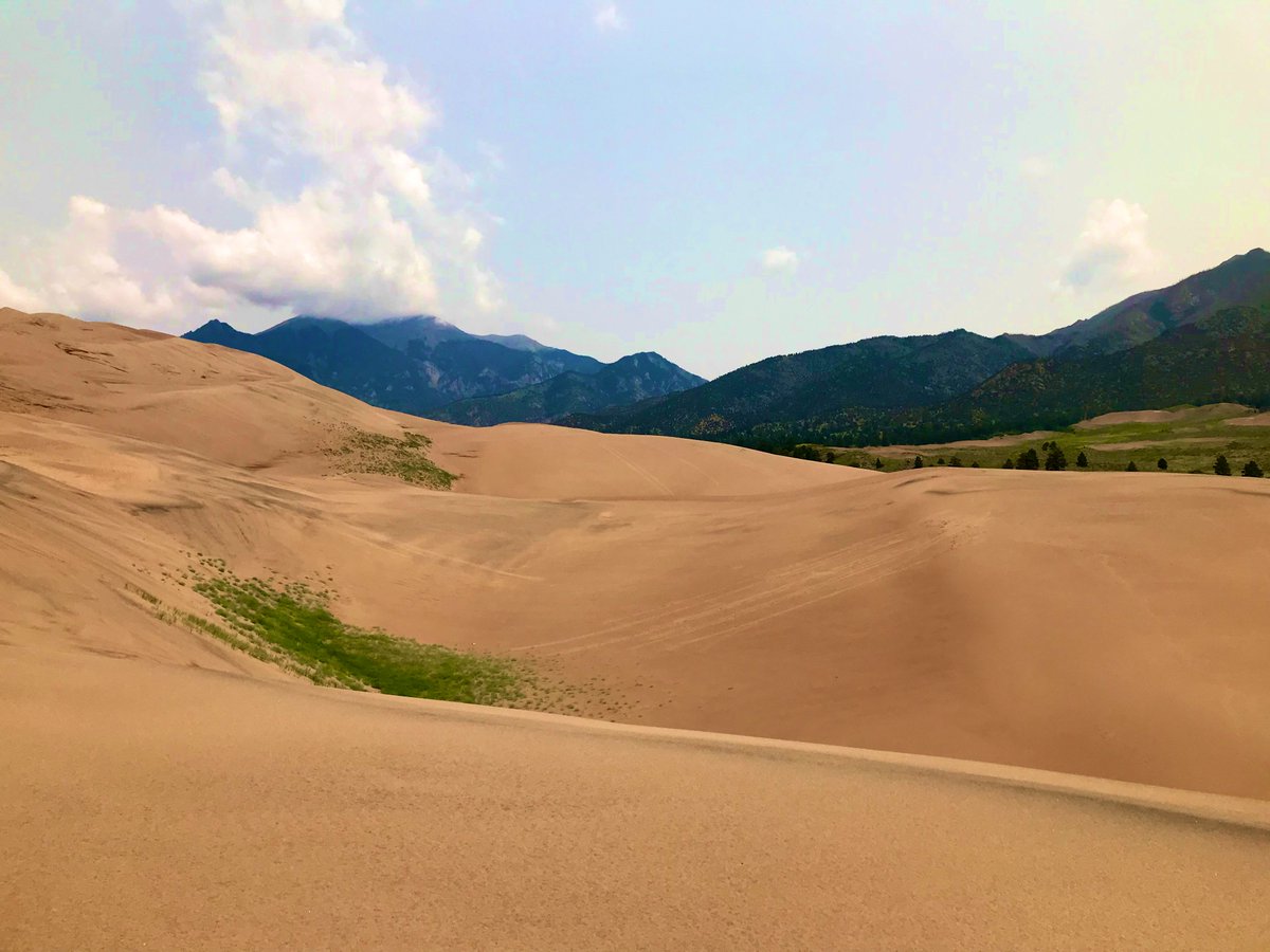 Just chillin by some sand dunes.