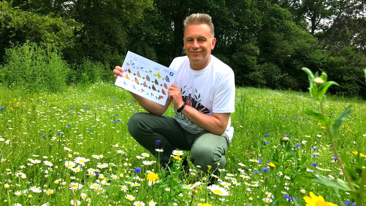 Keep your eyes on our social channels at 2:30pm this Friday 👀 

We'll be going live on Facebook with <a href="/ChrisGPackham/">Chris Packham</a> &amp; <a href="/Moth_Lady/">Zoe Randle</a> opening up a moth trap for our Big Butterfly Count! 🦋 

Until then, why not check out a reveal from <a href="/BCKentBranch/">Butterfly Conservation Kent & SE London</a> 👇 

butrfli.es/3i4gyF7
