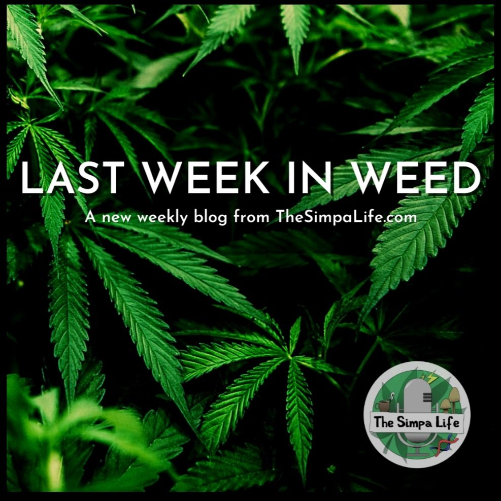 TheSimpaLife's tweet photo. In this week's #LastWeekInWeed, a billion-dollar cannabis bust in #California, new figures showing that UK police are seizing cannabis every 4 minutes, and #Tilray completes its first harvest of GMP ‘Medical cannabis’ in #Germany.
#TheSimpaLife #NewBlog https://t.co/ibzVCzCWcU https://t.co/mFR5Z3ApgI