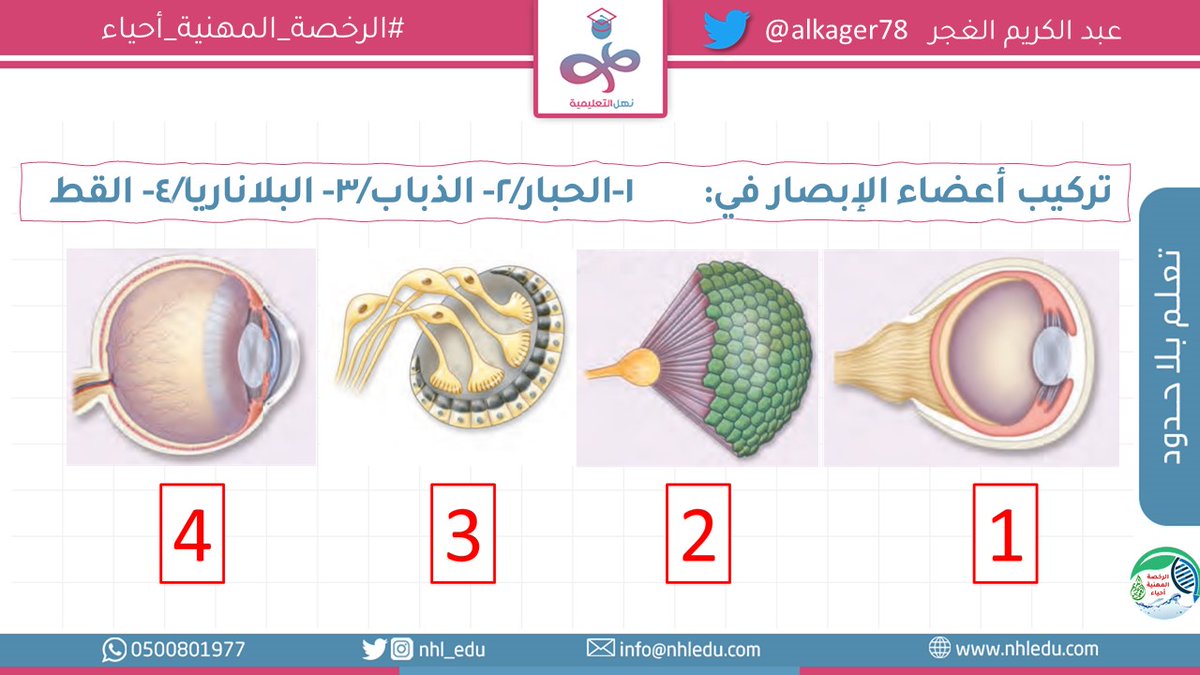 alkager78's tweet photo. للإخوة المهتمين بـِ #الرخصة_المهنية_أحياء
والأخوات

بطاقة تعليمية [21]

@Nhl_Edu

للمناقشة:https://t.co/BuVMGFT1k8 https://t.co/TvgYAWAvib