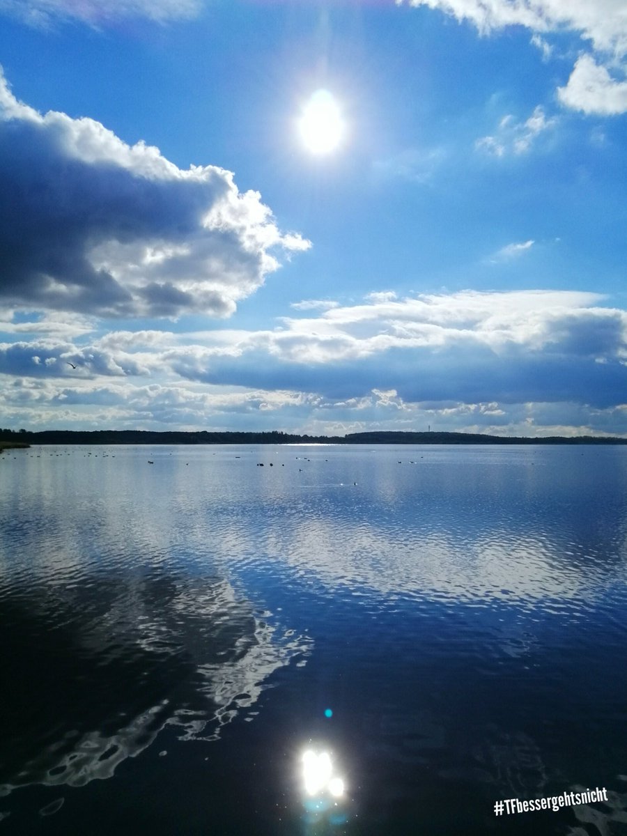 Teltow-Fläming & Brandenburg ❤ tweet media