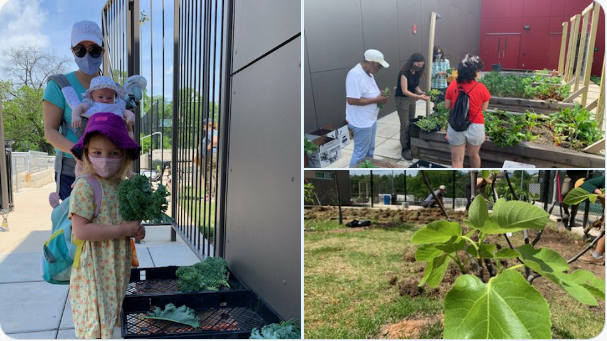 Delano Hunter Sr Delanohunter Twitter