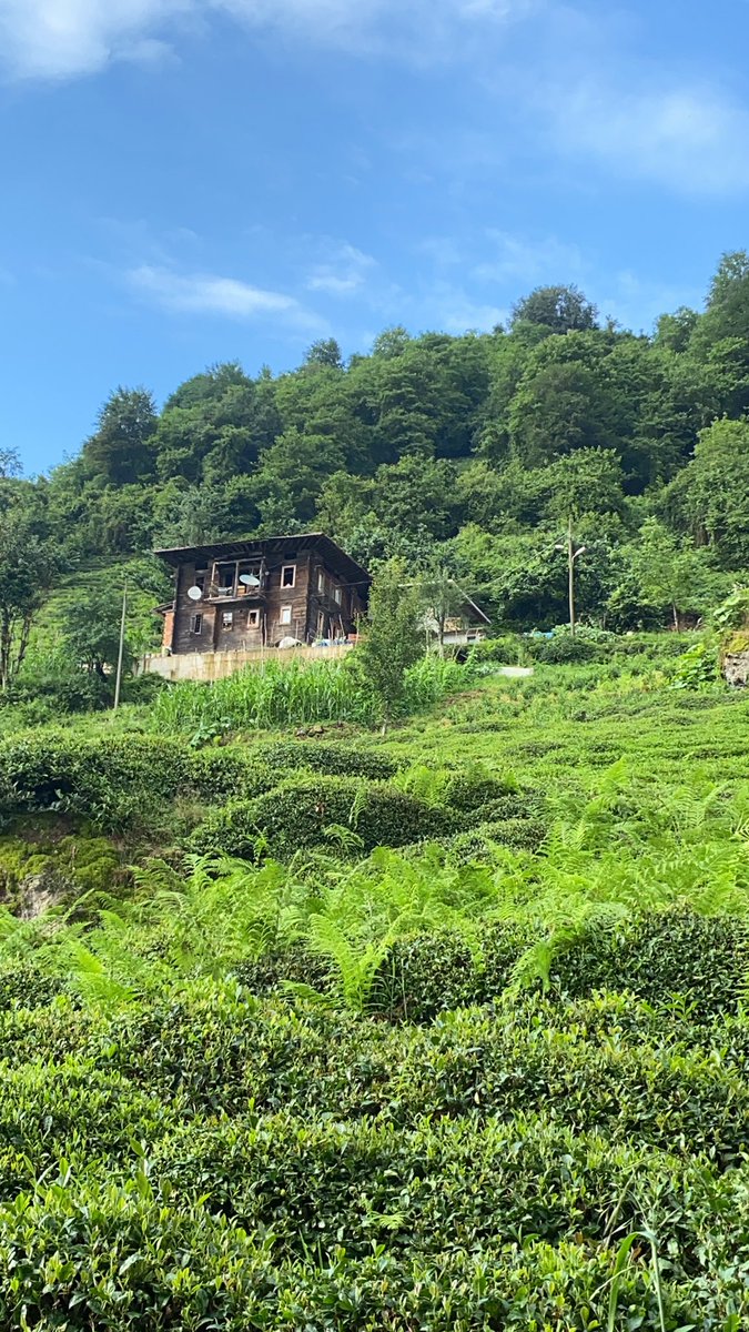 bu manzarada duygularım karma karışık