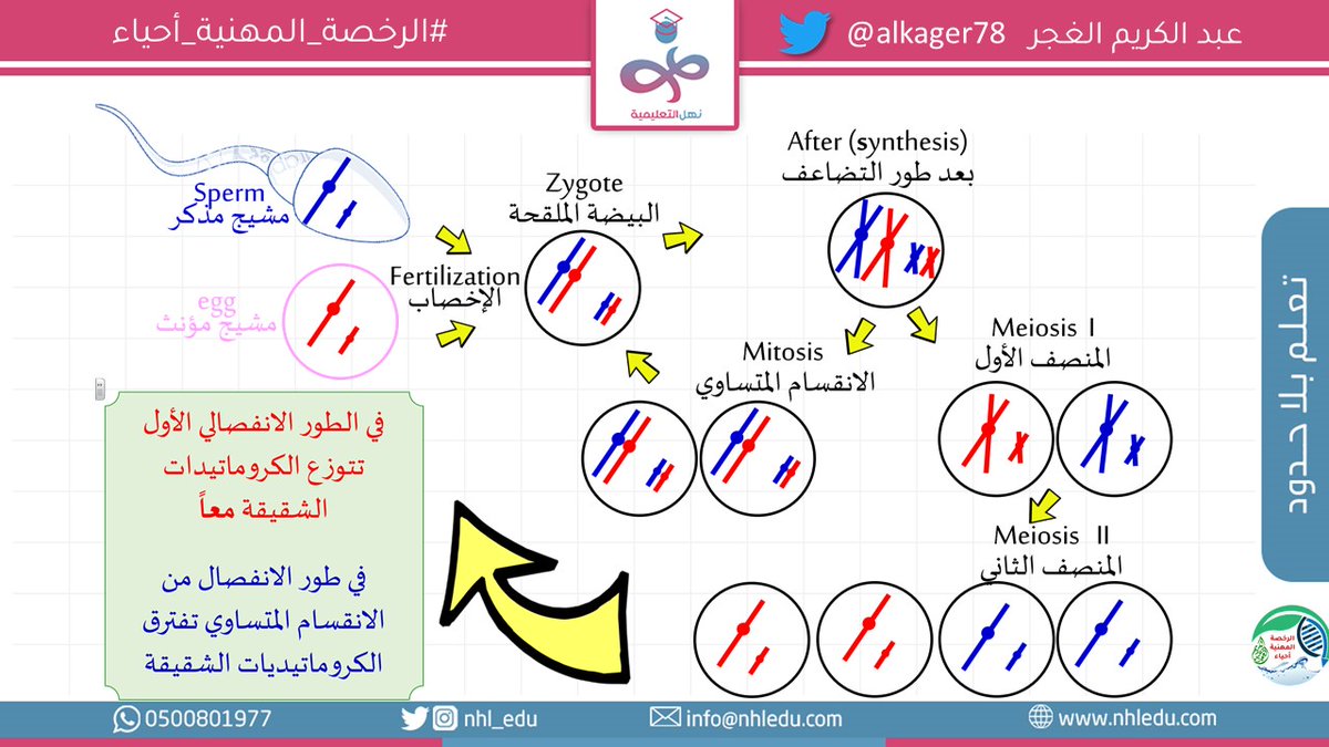 alkager78's tweet photo. للإخوة المهتمين بـِ #الرخصة_المهنية_أحياء
والأخوات

بطاقة تعليمية [23]

@Nhl_Edu

للمناقشة:https://t.co/BuVMGFBpVy https://t.co/9VxcGtvAE5