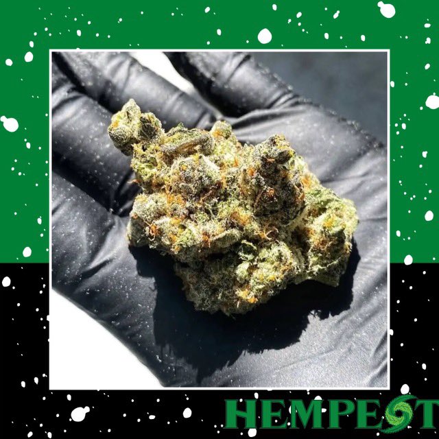 The next best thing to ice cream cake in July is Mint Cake! 🎂 

Mint Cake (Lemon Pound Cake x Kush Mints) is a balanced 50-50 hybrid that offers a joyful and uplifting buzz. 🌿