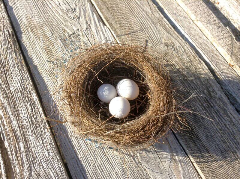 GoodMoneyGirl's tweet image. Find out what we think of the Nest Ethical Fund pension - a government-owned pension scheme that invests according to the ethical values of its members: ow.ly/g4eC50Fv2pZ @nestpensions #pensionwithintention #makemymoneygood #ethicalpension #investforgood #greenpension