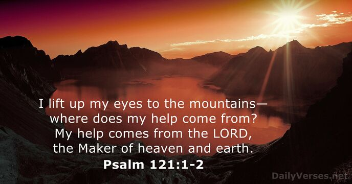 MaryfromMarin's tweet photo. .#ccot #RenewUS #tcot #RedNationRising #ycot #Millennials https://t.co/s6GfCQ2M5j