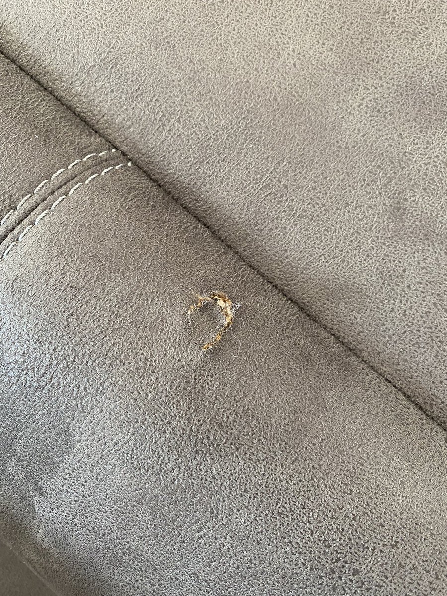 Scott Brookes tweet media