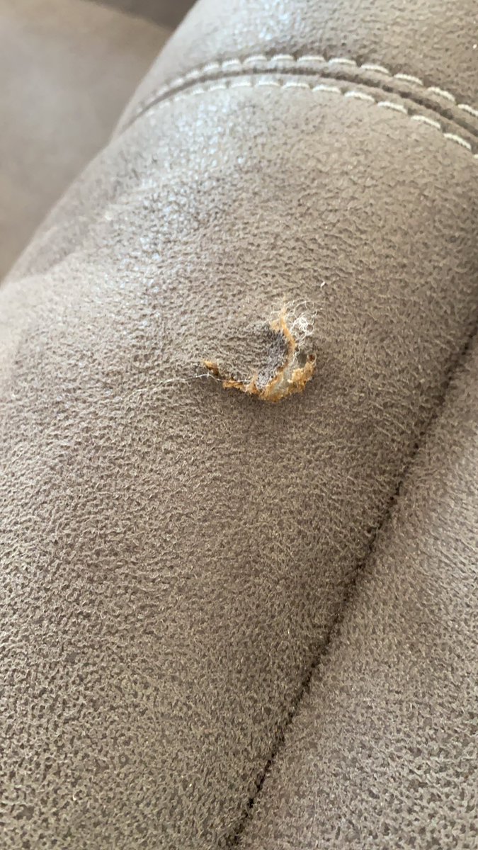 Scott Brookes tweet media