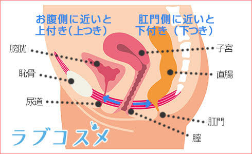 こないだ聞いたうわつきしたつきってこーゆーことかー！！おそらく下つきっぽい https://t.co/pQmiNspihm