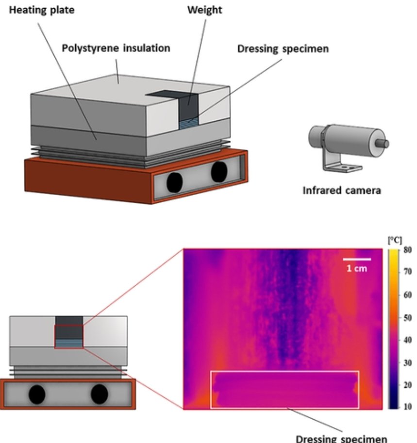 Amit Gefen tweet media