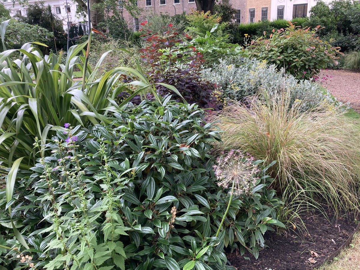 LondonInBloomUK's tweet photo. London is blessed with squares that we also judge for our competition, after all they are sometimes the only gardens some residents have. Pleased to see that #MecklenburghSquare has readily adopted suggestions from previous judging visits #bloomhour @KingBaggyking https://t.co/dXMDDVsy2H