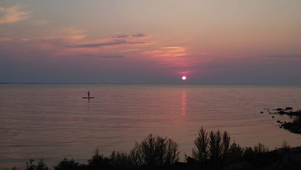 LisavonSteijern's tweet photo. Stand up paddle in the sunset
#malmö #photofrommyheart https://t.co/Wc3x4yiN9b