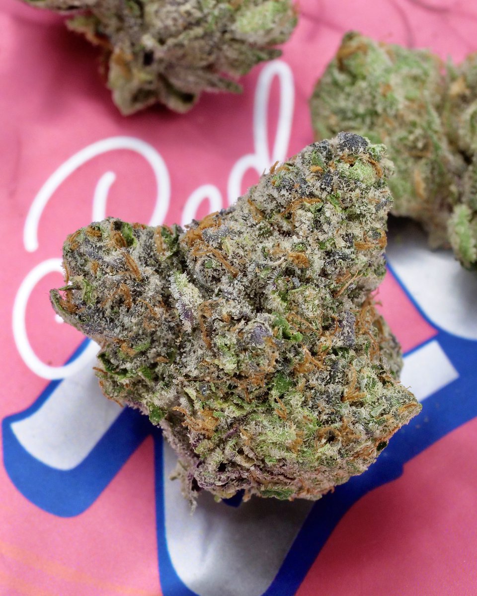 RED ZLUSH! 🔥❤️🤩 <a href="/SevenLeaves_ca/">Seven Leaves™</a> #TERPHOGZ #THEORIGINALZ