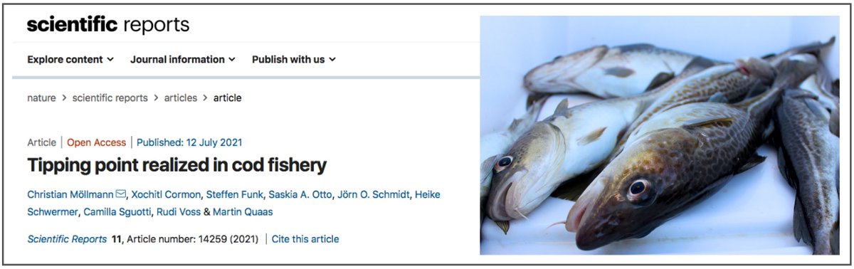 HeikeSchwermer's tweet photo. - NEW PAPER OUT -  by @cmoelli et al. 

https://t.co/7gocouDfFu

#balticsea #cod #codfishery #tippingpoint #baltadapt  
@unihh @OceanAndSociety @idiv @ICES_ASC @KueNO_de https://t.co/Zemq8TQ1Dm
