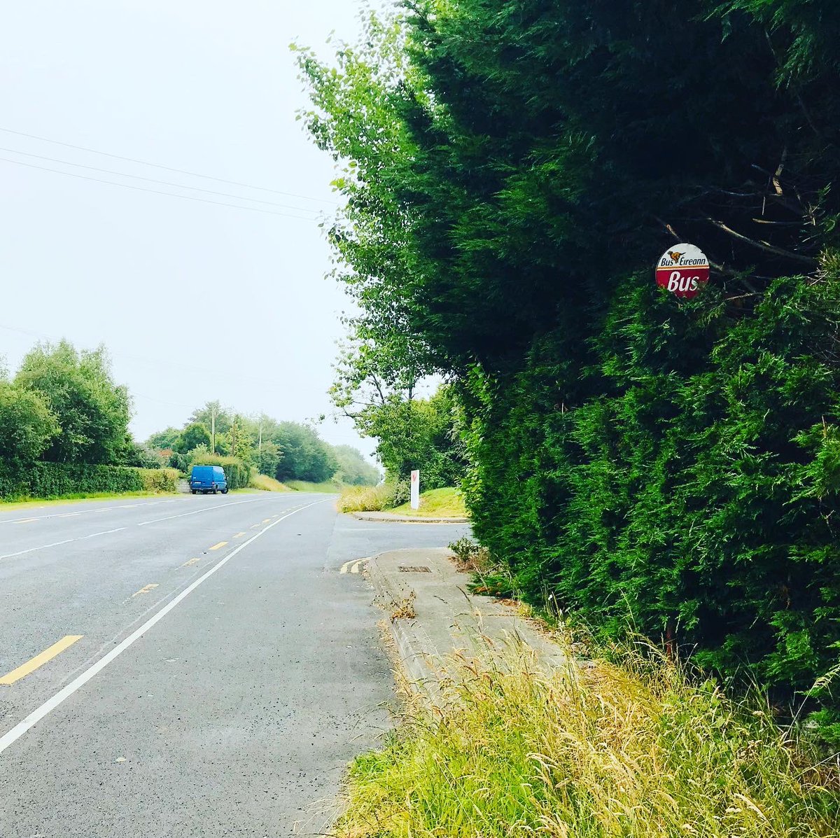 Shit Limerick Bus Stops tweet media