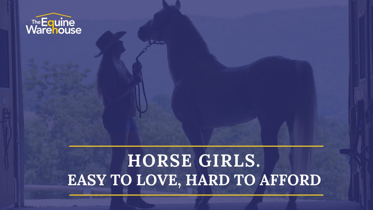 The Equine Warehouse tweet media