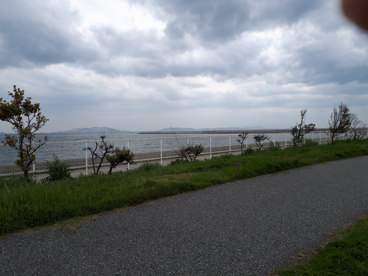 ありふれた風景写真ですが……
｢僕は此処に居るよっ!｣って声が聞こえます。
私の足元に他の野良たちが居ると…この子ったら、いつも、こうなんです…。