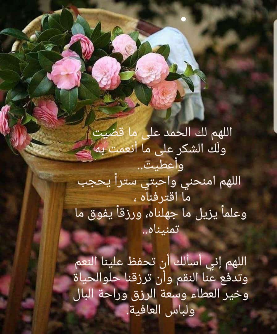 Rahma2009js's tweet photo. ❤️❤️ https://t.co/AikwLvuVOO