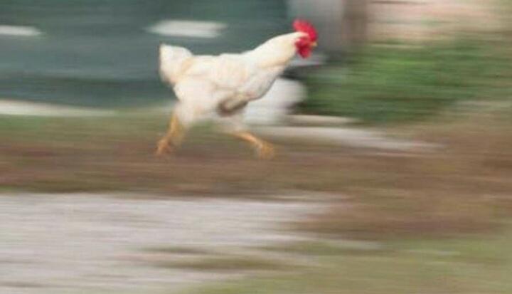 Herhangi biri : yemeğe gidiyorum 
O kişinin peşinden yemege gitmeye çalışan rüzgar; 
#BahtOyunu