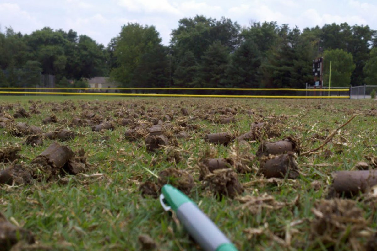 MTurfsupply's tweet photo. Aerification relieves compaction within your turf to allow water, fertilizer, and oxygen to reach the roots, stimulating the growth and lengthening the lifespan of your lawn. To learn more, visit us online: https://t.co/tOew6zkL04. #ModernTurf https://t.co/yYpLyXTWjv