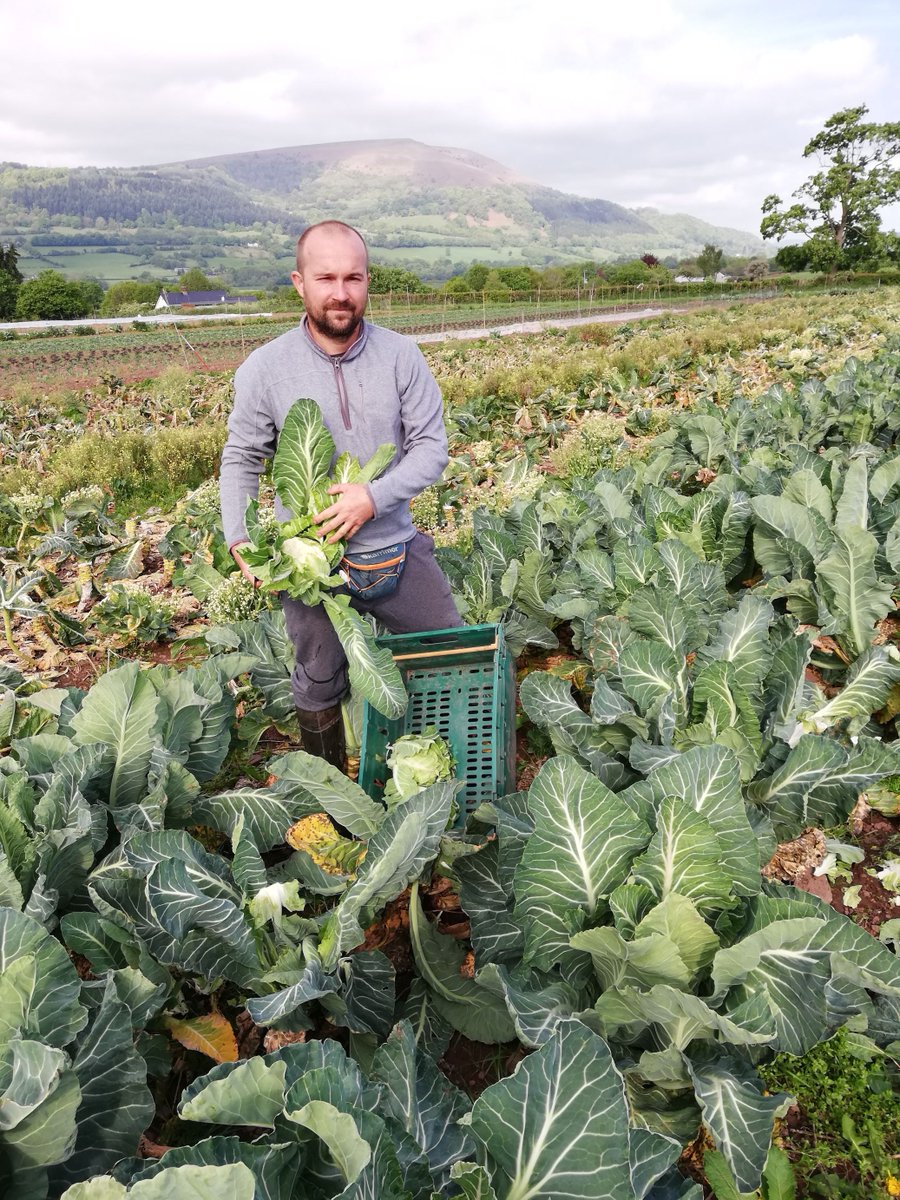 goodfoodcardiff's tweet photo. A new ‘Sunday Brunch Social’ is coming to the Fresh and Wild outdoor market 🍳🥕🍞

Get your #sustainable and fresh #produce every Sunday at @BoneYardCardiff 10am-2pm

Read more 👇

https://t.co/pHpZ6hrbcN https://t.co/BismX2w79G
