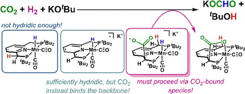 ACSCatalysis's tweet photo. Congratulations to @KevinSchlenker2, @saoumagrp - a #MyFirstACSCatal across the board!
Via mechanistic and thermochemical studies on CO2 hydrogenation at Mn, CO2 substrate binding to the ligand is part of the catalytic cycle. @UtahChemistry
https://t.co/QBdOR9Nt8G https://t.co/HTEyAzcZaA