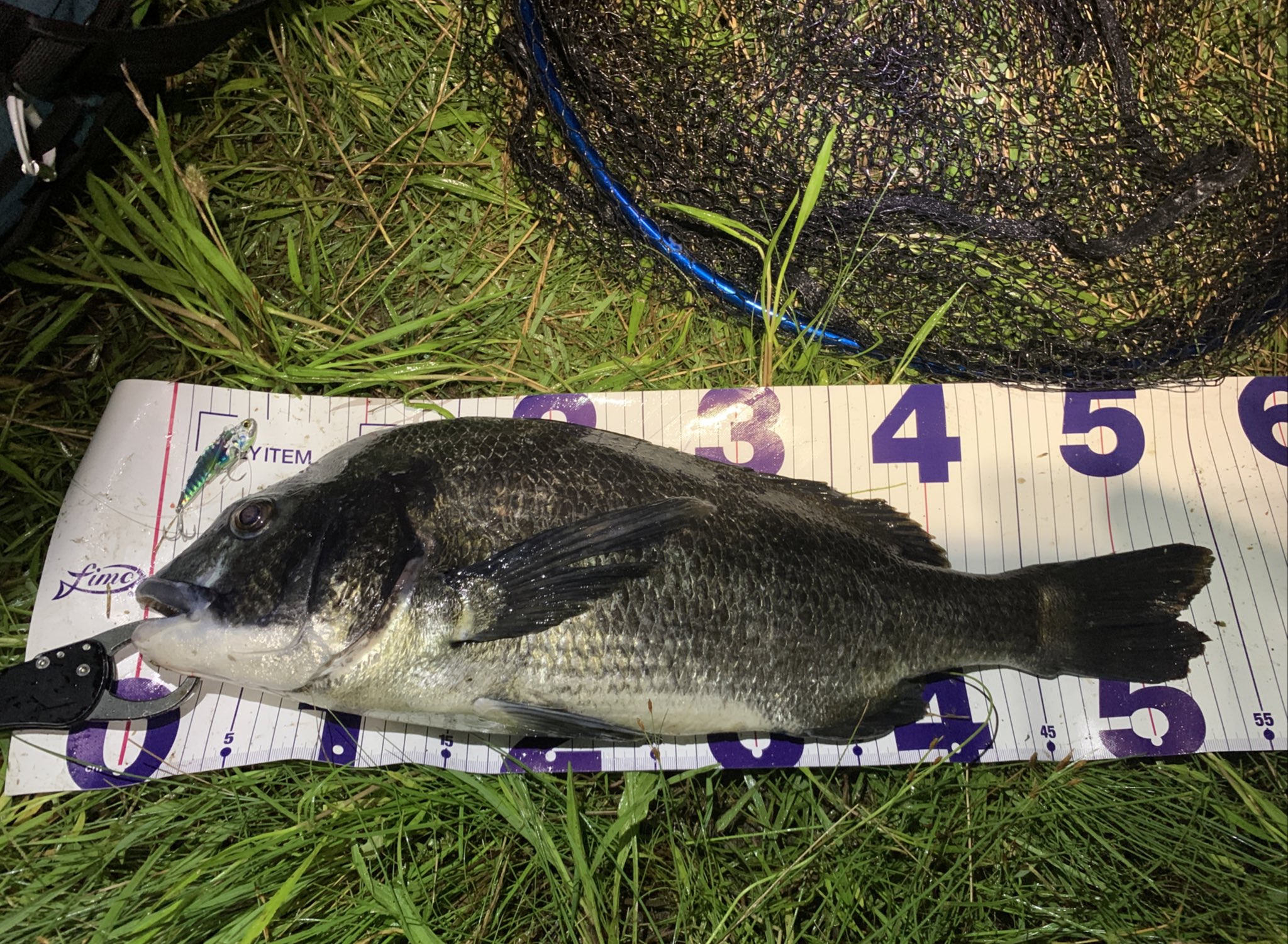 たかやす ヘチ釣り始めました Takaya Fishing Twitter