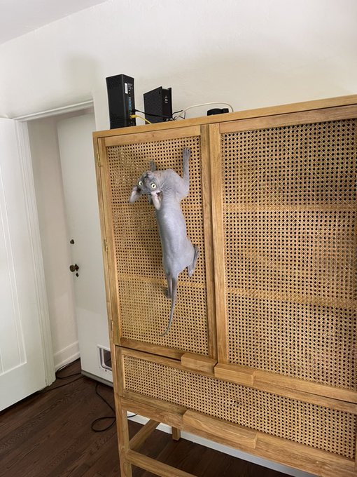 leave me alone to bask mother https://t.co/HrlLKpk8TM