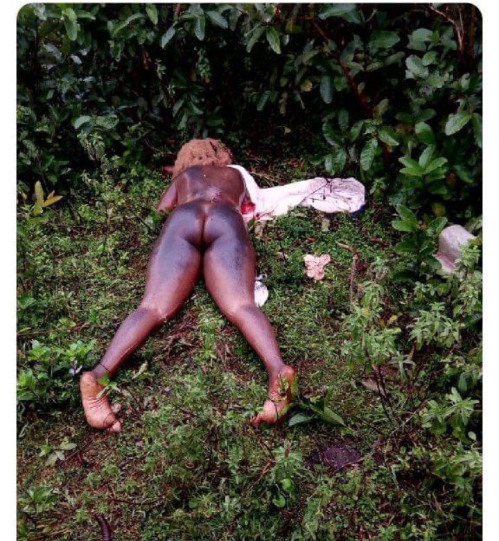 Jack Blade tweet media