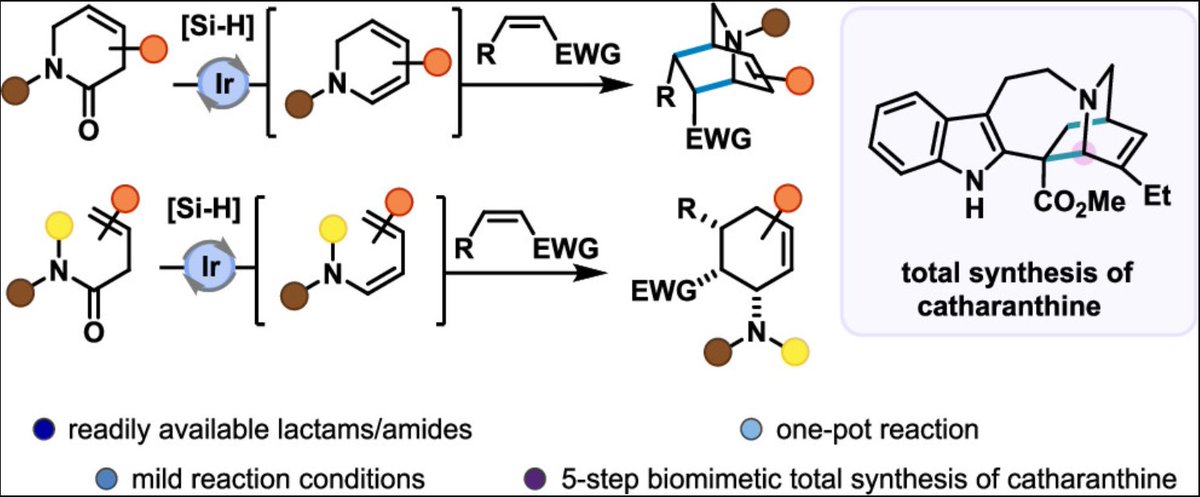General Iridium-Catalyzed Reductive Dienamine Synthesis and Five-Step Synthesis of Catharanthine out now in <a href="/J_A_C_S/">J. Am. Chem. Soc.</a> ! Many congratulations to <a href="/pabs_gabs/">Pablo Gabriel</a> , <a href="/YaseenAlmehmadi/">Yaseen A. Almehmadi</a> and Zeng Rong (now <a href="/Toste_Group/">Toste Group</a>)!!

pubs.acs.org/doi/10.1021/ja…