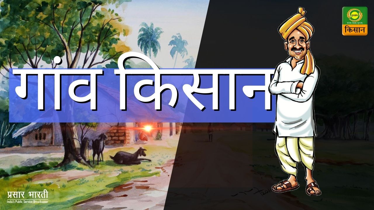 Doordarshan Kisan दूरदर्शन किसान on Twitter: Doordarshan Kisan दूरदर्शन किसान on Twitter: