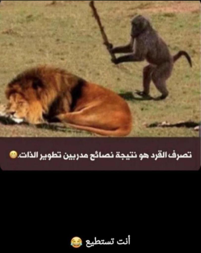 E6MGN8oWUAYrNjP.jpg