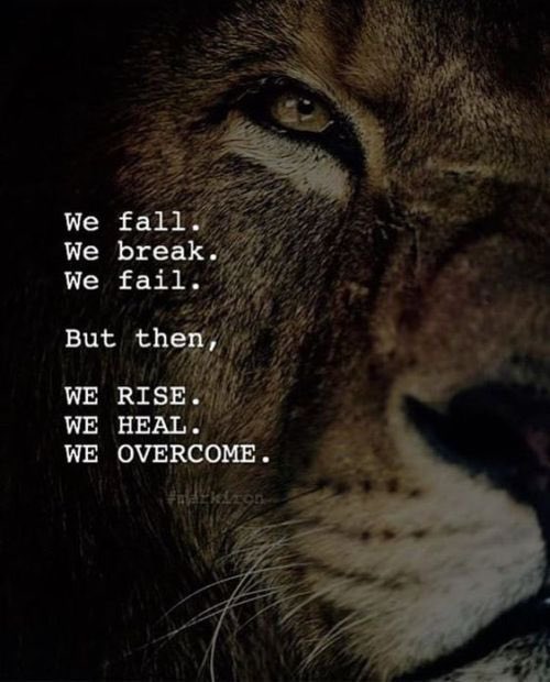 mihill82's tweet photo. @MarcusRashford @England Legend and inspirational, stay strong. 🦁🏴󠁧󠁢󠁥󠁮󠁧󠁿 https://t.co/T4QBsTlXl7