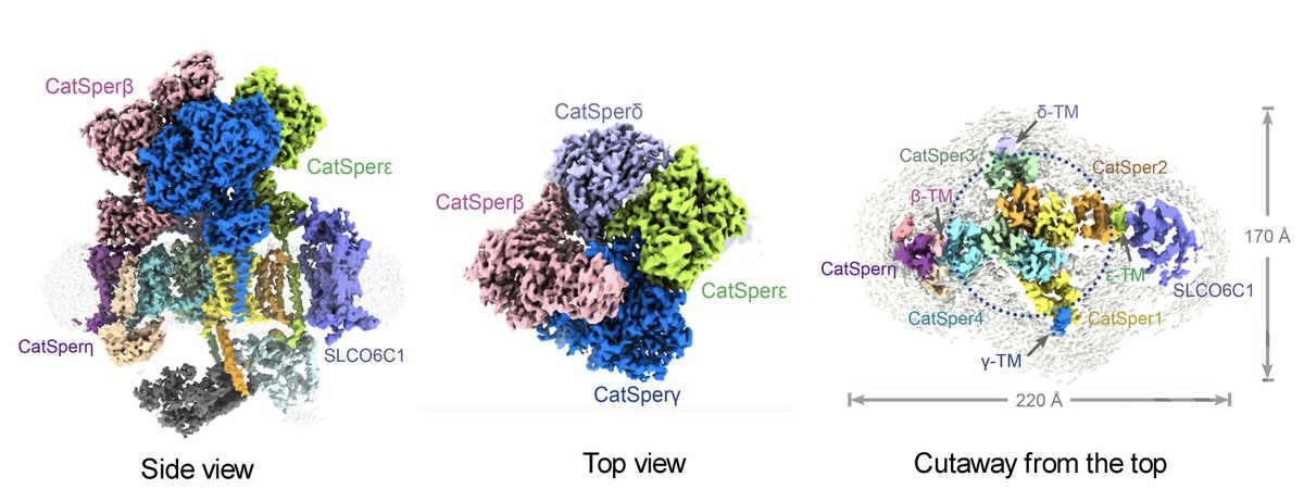 Alexandria Miller tweet media