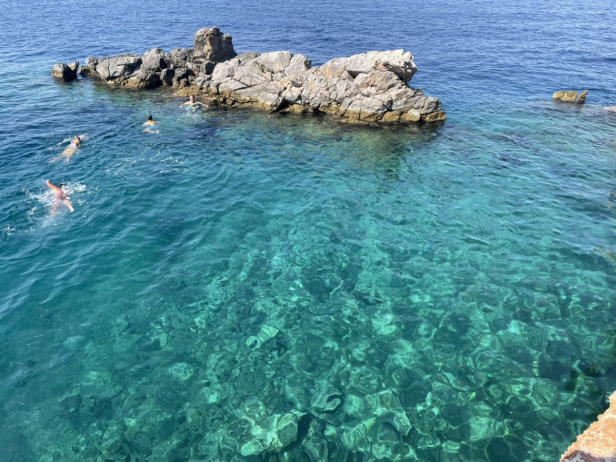 AwardSecrets AI tweet media