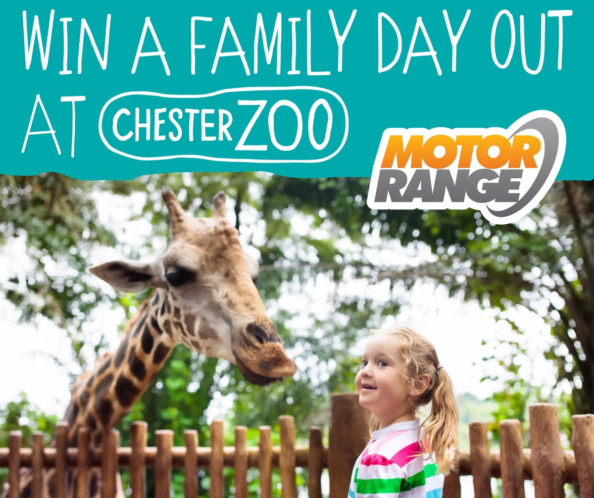 🐯 #COMPETITION TIME! 🐯

To be in with the chance of winning a family day out at Chester Zoo complete with lunch, simply follow us and retweet! 🐘

Good luck! T&amp;Cs: bit.ly/3wChMN9