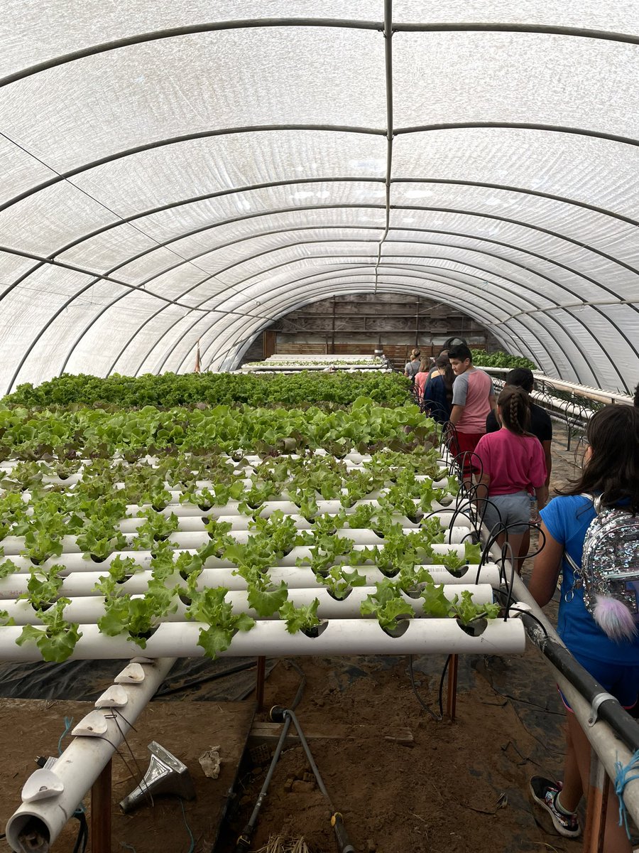 Kelli Roberts tweet media