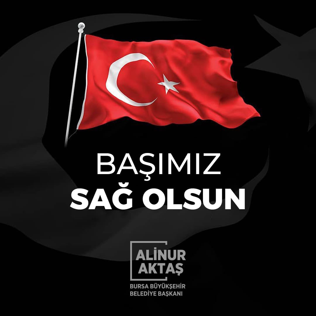 Alinur Aktaş