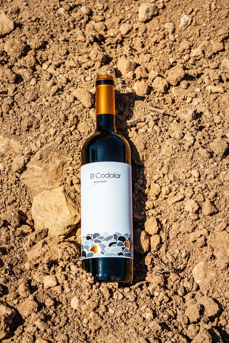 🍷 Codolar 2015
👀 Colors vius de fruita vermella amb reflexes violacis
👃 Fruita vermella, fresca, acompanyada de notes de
criança, lleugers torrats
👄 Notes dolces, envolvent, fresc, acidesa ben
marcada i equilibrada. Estructurat, llarg i persistent
➡️ cellercornudella.cat/codolar/