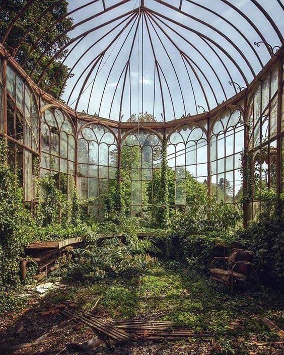mentally I'm living in the abandoned botanic garden