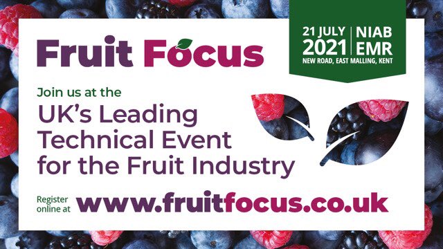 HamptonSteel's tweet photo. Hampton Steel will be attending Fruit Focus on 21st July 2021! 

Come visit us at stand 158.

#fruitfocus #britishwirefencing #fruitindustry #fixedknotfencing #raspberrymesh #softfruitfencing #hamptonnet #raspberryfencing #kent #hamptonsteel https://t.co/6YjUddocFv