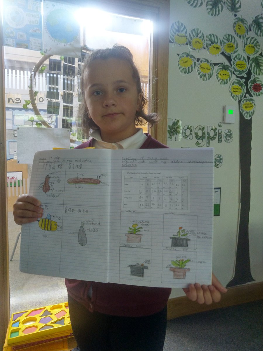 SixBellsY3Y4's tweet photo. Recording results by taking measurements and drawing diagrams. https://t.co/7MojifEA1w