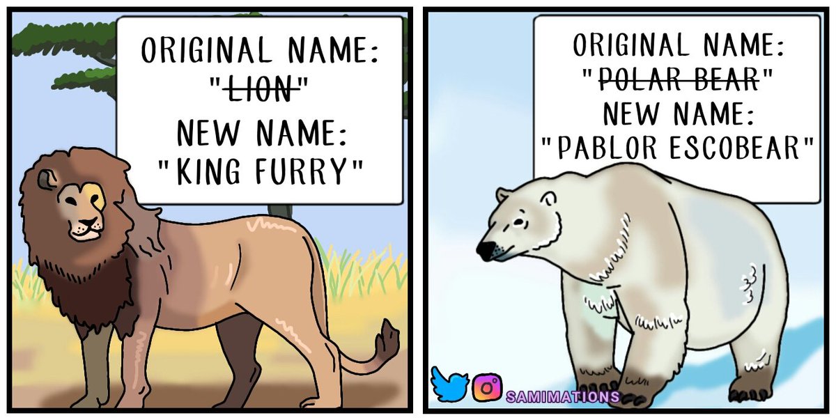 Samimations2's tweet photo. Renaming Animals (Part II)
#animals https://t.co/wAUD86zumt