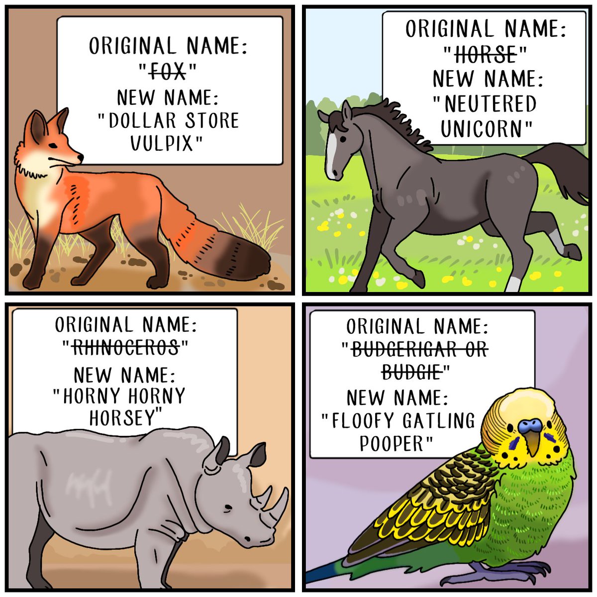 Samimations2's tweet photo. Renaming Animals (Part II)
#animals https://t.co/wAUD86zumt