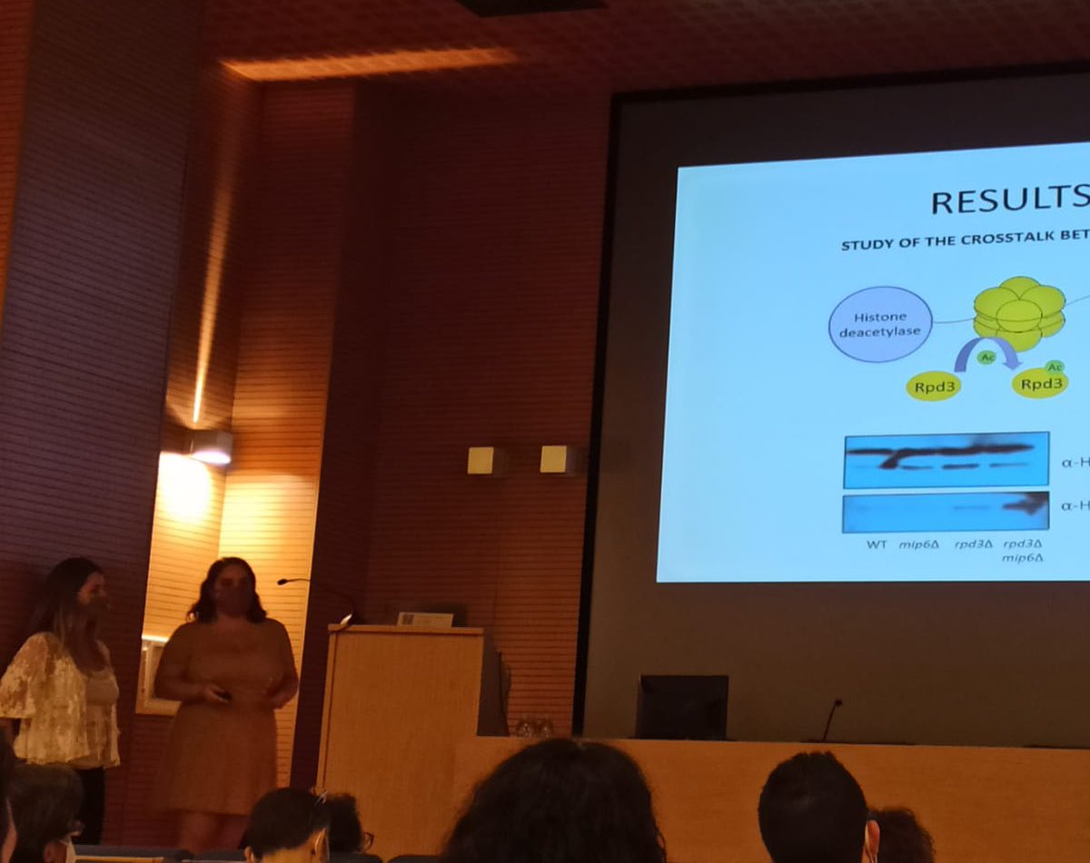 SusRodriguezNavarro (@susaopina) on Twitter photo <a href="/AnitaTC56/">Anita</a> and <a href="/CarmeNuCab/">Carme Nuño Cabanes</a> from my lab <a href="/IBV_CSIC/">IBV-CSIC</a> just presented their work on Mip6 #RNALife <a href="/ConesaLab/">Conesa Lab</a> #prometeo <a href="/AgEInves/">Agencia Estatal de Investigación</a> PGC2018 <a href="/AnitaTC56/">Anita</a> and <a href="/CarmeNuCab/">Carme Nuño Cabanes</a> from my lab <a href="/IBV_CSIC/">IBV-CSIC</a> just presented their work on Mip6 #RNALife <a href="/ConesaLab/">Conesa Lab</a> #prometeo <a href="/AgEInves/">Agencia Estatal de Investigación</a> PGC2018