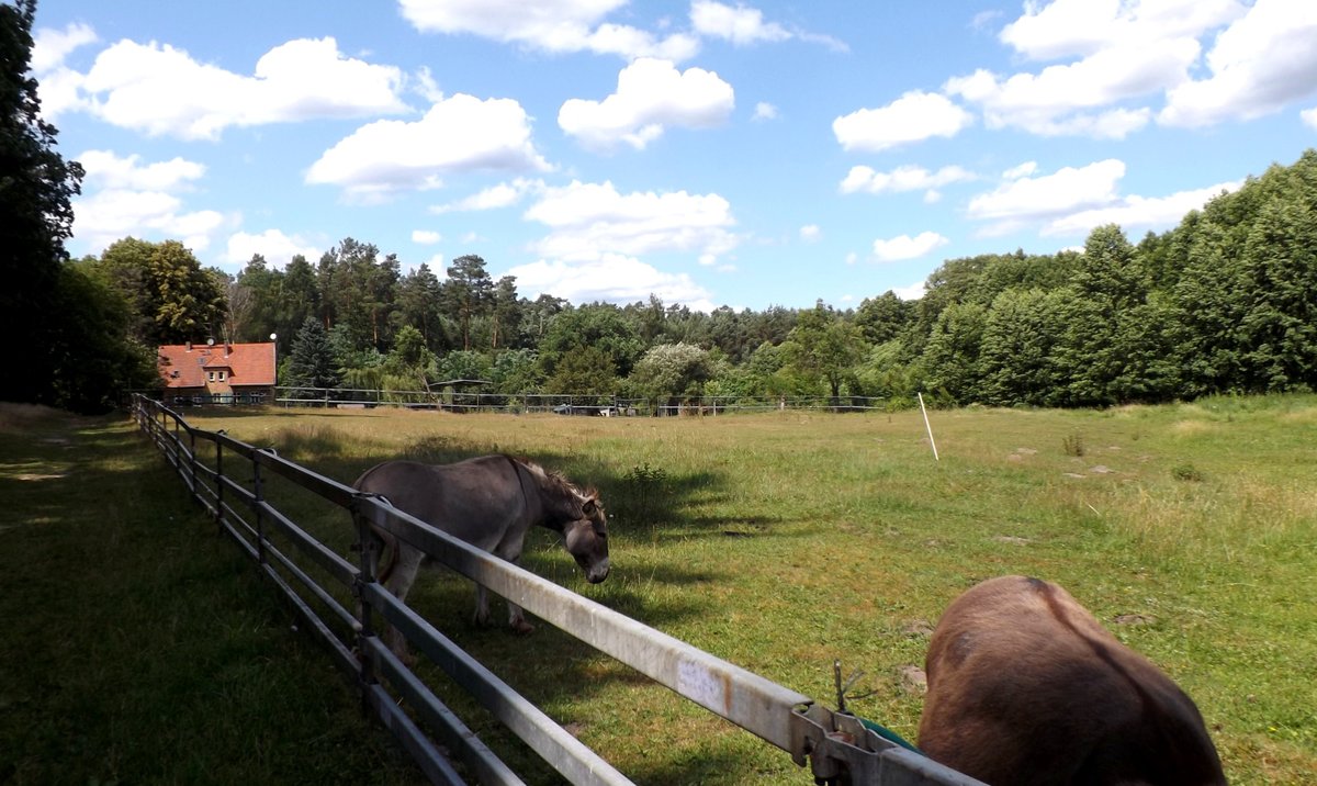 mark_radler's tweet photo. Idylle am #Briesetal 
#Briese #Oberhavel https://t.co/HrddozxqrA