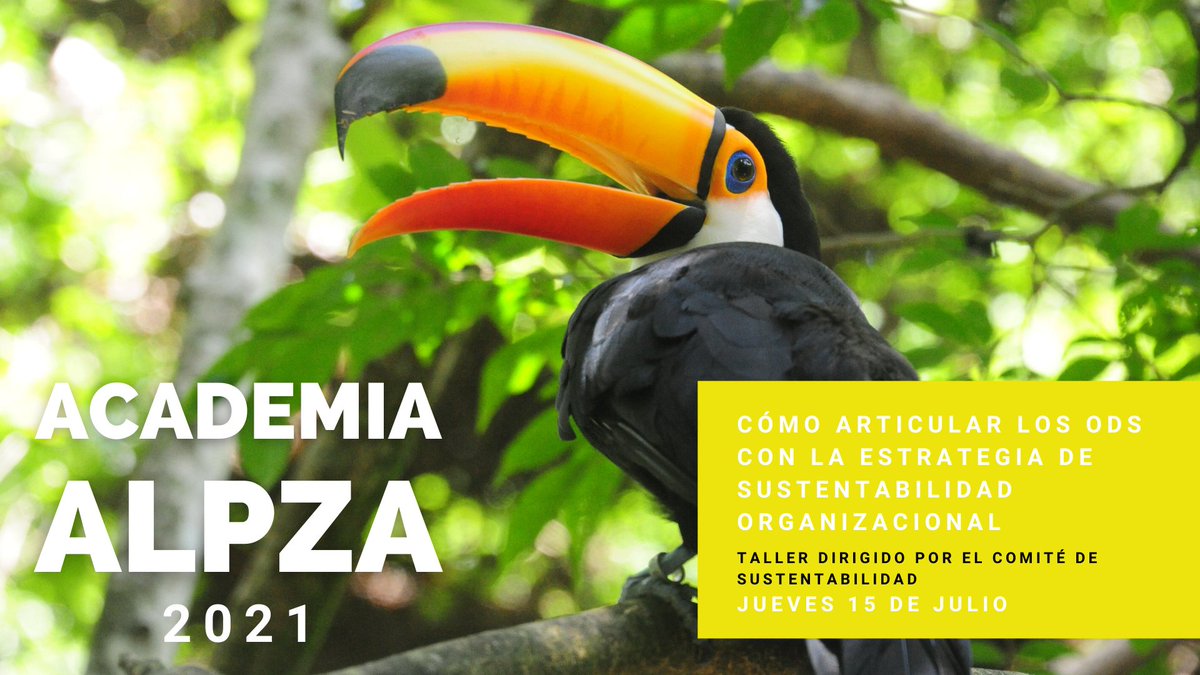 ALPZA Zoos (@alpza_zoos) on Twitter photo ¡Participa en la Academia ALPZA! 📢 Este es un programa de capacitación integral exclusivo para nuestros miembros ALPZA.
Para conocer más sobre esta gran iniciativa puedes escribir a info@alpza.com 👩💻👨💻 ¡Te esperamos! 😀 ¡Participa en la Academia ALPZA! 📢 Este es un programa de capacitación integral exclusivo para nuestros miembros ALPZA.
Para conocer más sobre esta gran iniciativa puedes escribir a info@alpza.com 👩💻👨💻 ¡Te esperamos! 😀